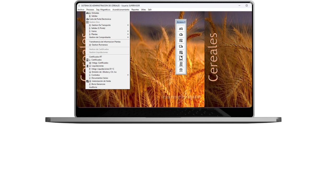 Pantalla del sistema - captura 1