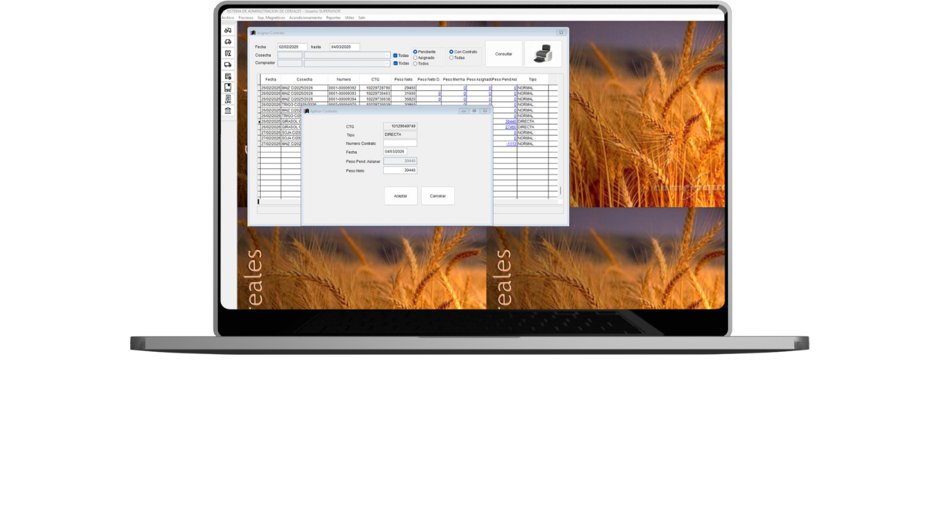 Pantalla del sistema - captura 3